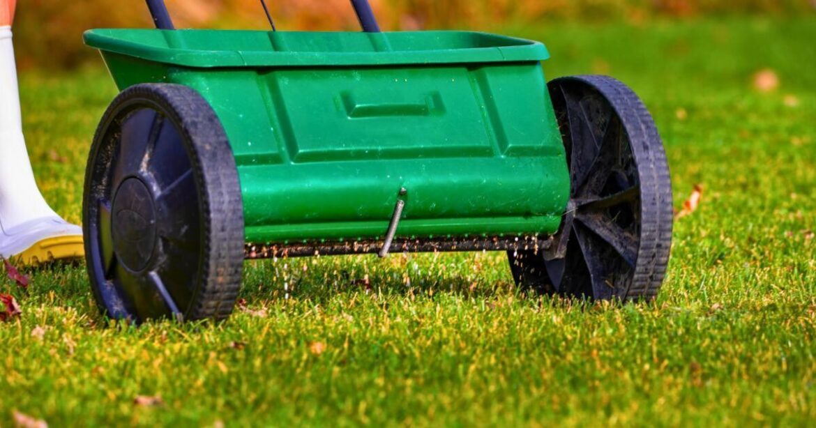 Anyone with a lawn urged to mow less or stop doing the chore entirely in spring Anyone with a lawn urged to mow less or stop doing the chore entirely in spring