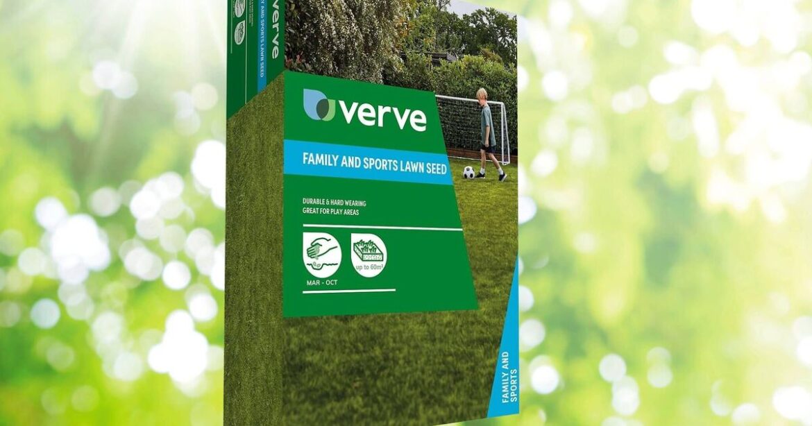 Gardeners can get B&Q grass seed for under £1 with deal