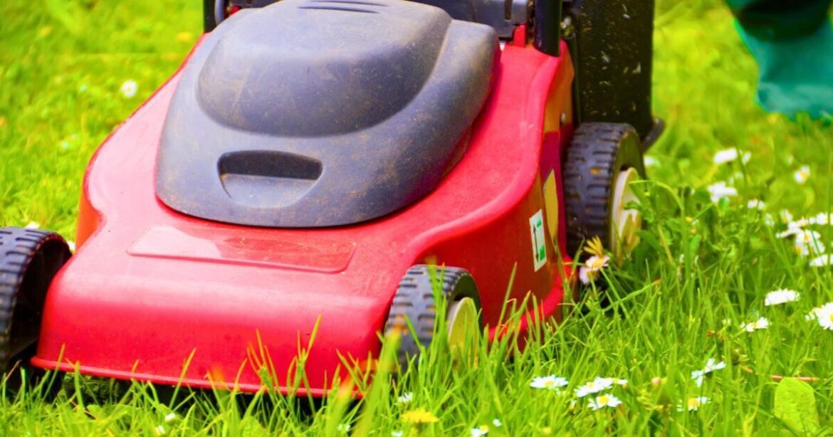 Lawns grow more resilient grass in spring if 3 tasks are done now