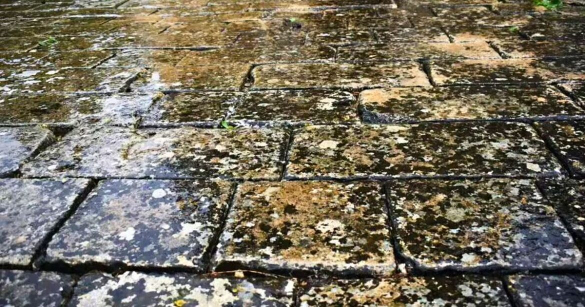 How to remove stains on patios and paving without bleach or pressure washer How to remove stains on patios and paving without bleach or pressure washer