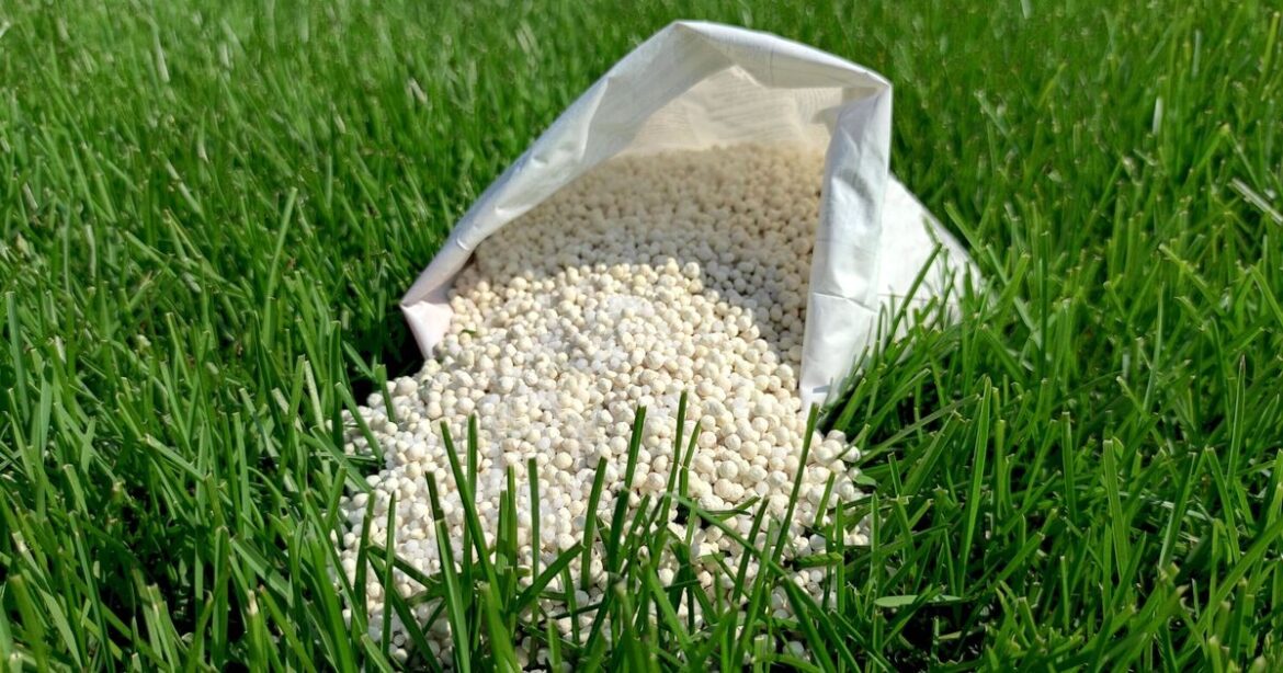 How to grow gereener and healthier lawn in spring