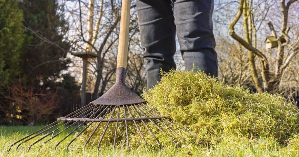 Brits told to check before raking their gardens this spring