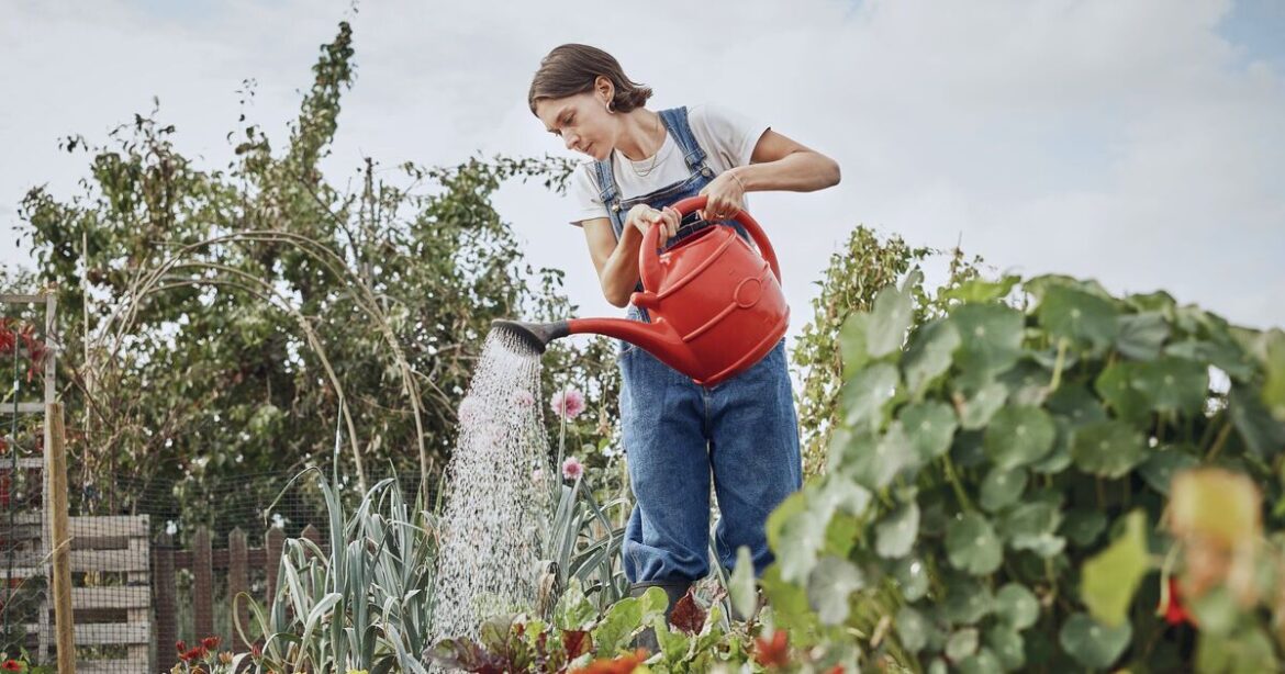 Gardeners can save up to 71% on spring garden bundles in flash sale | Travel News | Travel