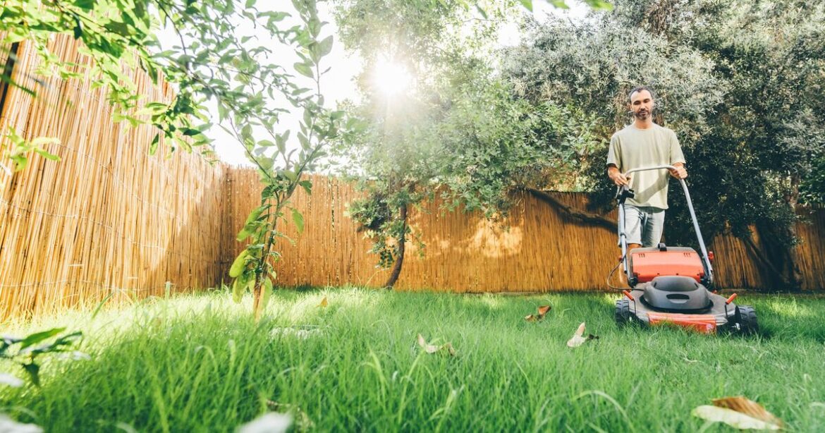 Complete these 4 spring grass jobs as gardeners issued mower warning Complete these 4 spring grass jobs as gardeners issued mower warning