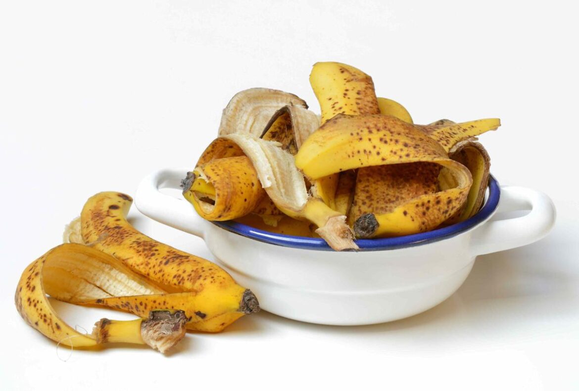 How to Use Banana Peels in the Garden to Deter Pests and Provide Nutrients