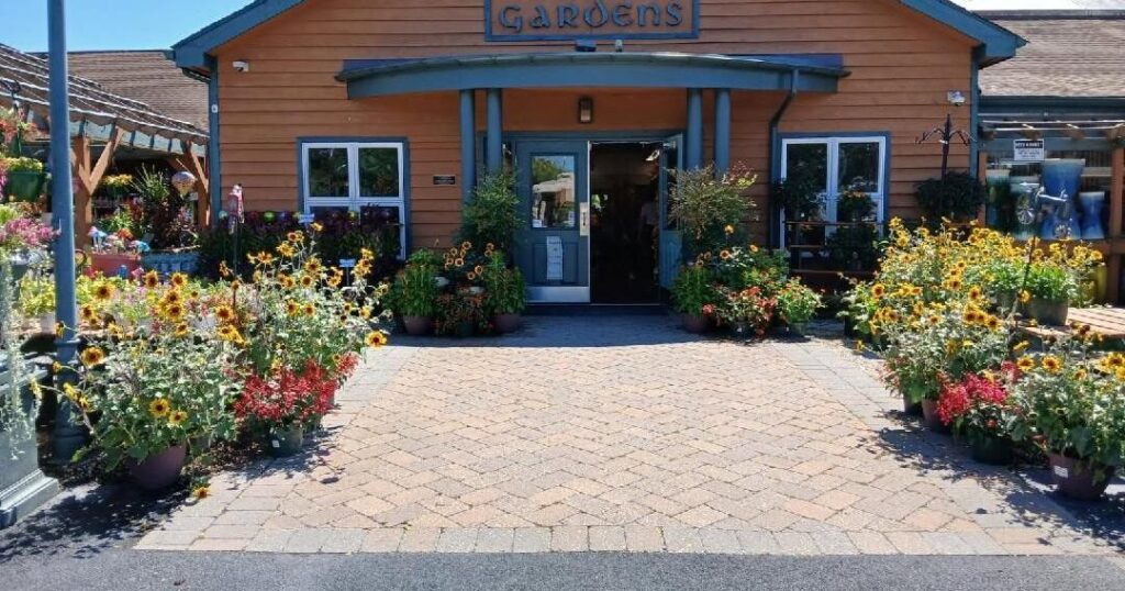 Old Country Gardens saying farewell at the end of the year | Delaware Business Old Country Gardens saying farewell at the end of the year | Delaware Business