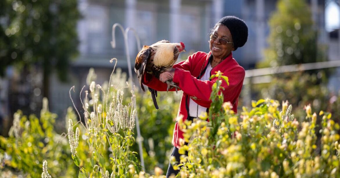 Flowers bloom in a once-blighted corner of New Orleans | Entertainment/Life