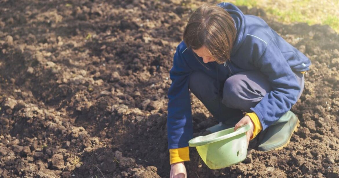 Ask an Expert – Spring gardening checklist | News Ask an Expert – Spring gardening checklist | News
