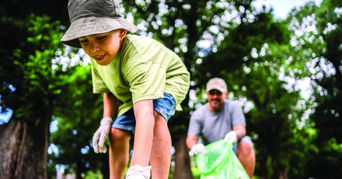 Garden project returning for a third year | Gcdailyworld