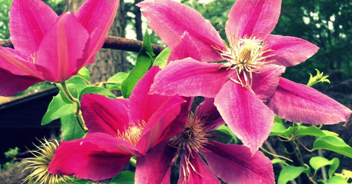 Nothing compares to the transition from winter into spring