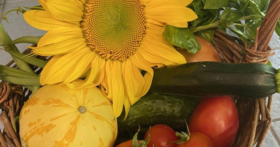 Dreaming about garden perfection | Columnists
