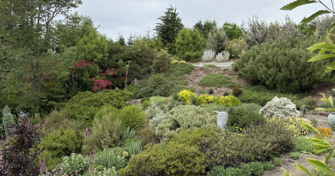 Inside the Terraced Gardens of Treloweth | Features