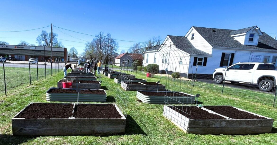 COPE garden prepares to grow for eighth year | News COPE garden prepares to grow for eighth year | News