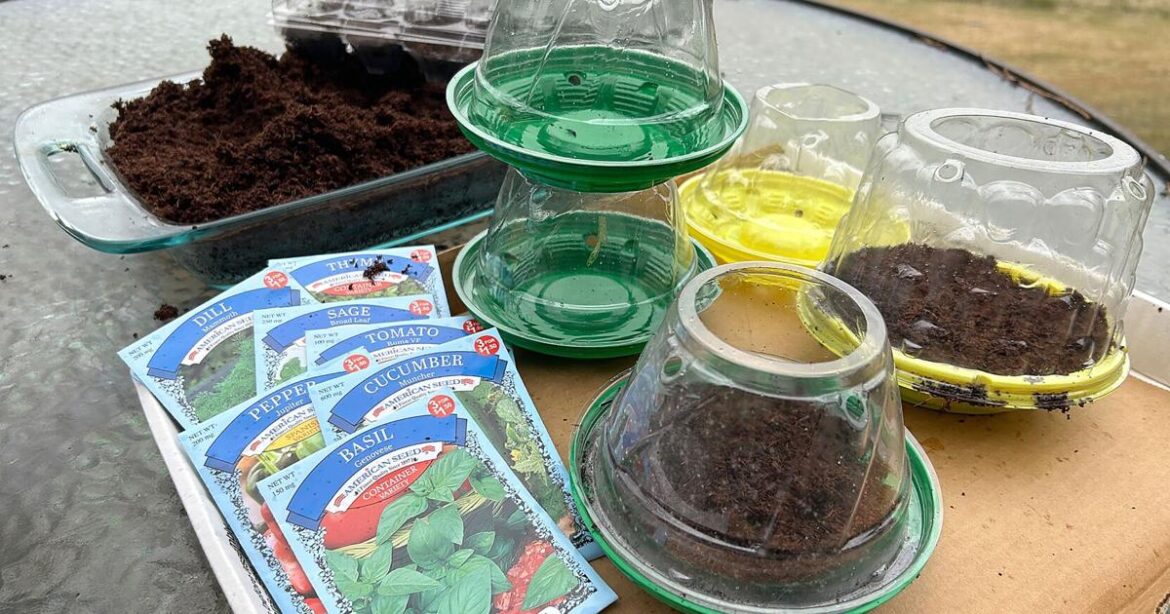 How to save money on garden gear with some creative recycling | Lifestyles How to save money on garden gear with some creative recycling | Lifestyles