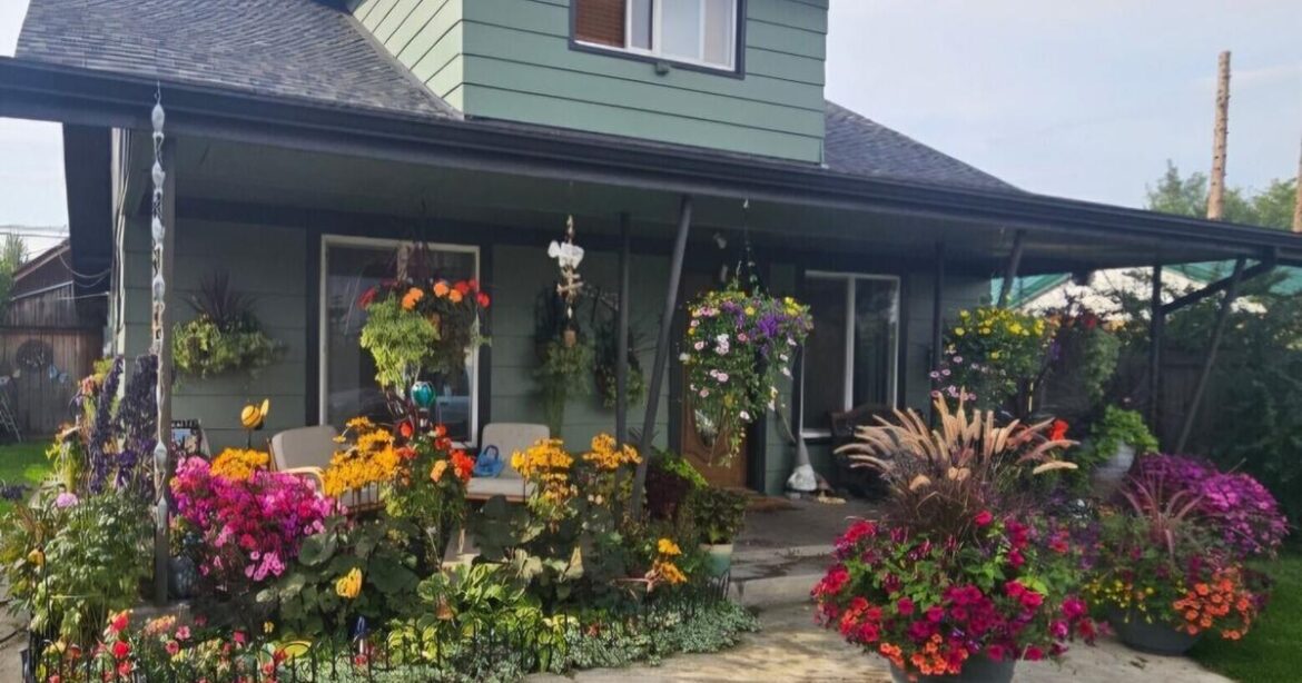 Butte Garden Club offers three programs at upcoming meeting | Billings News