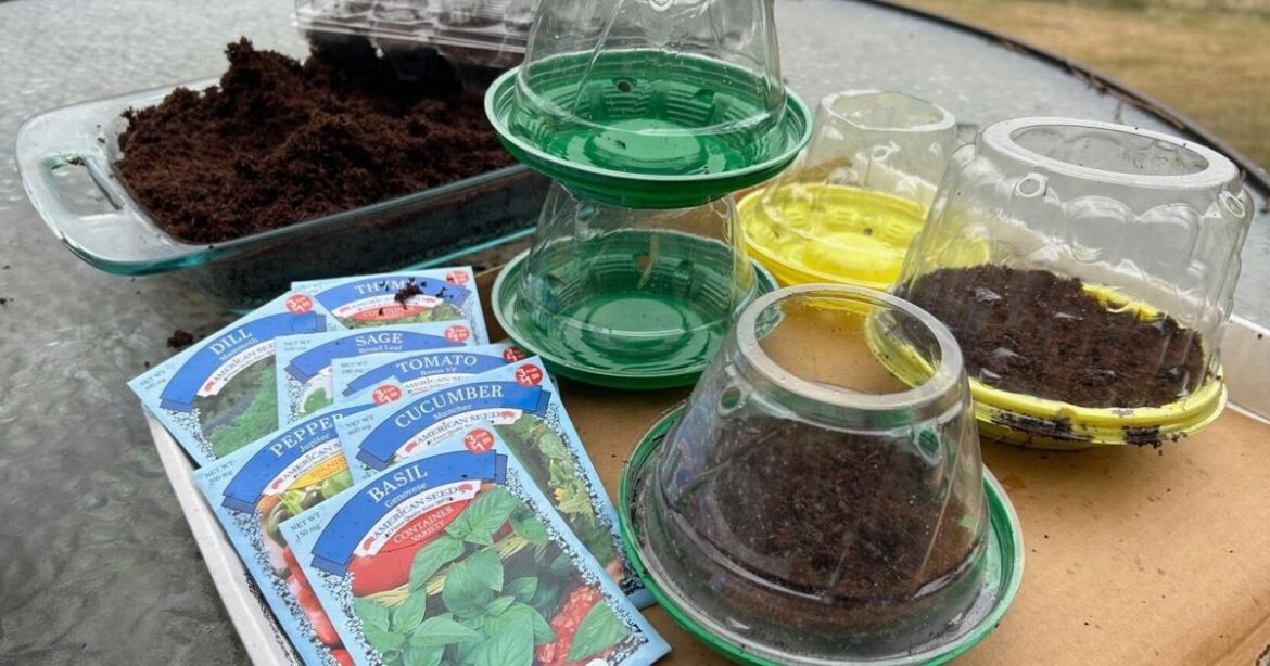 How to save money on garden gear with some creative recycling | News