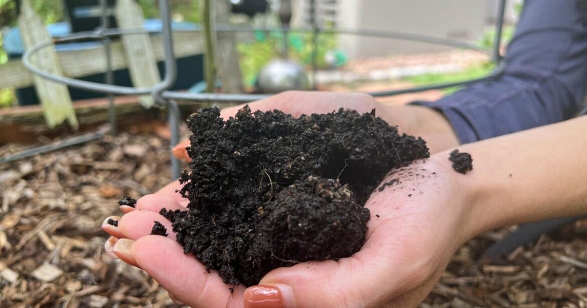 Soil is the foundation of your garden. Keep it healthy! | Soil is the foundation of your garden. Keep it healthy! |