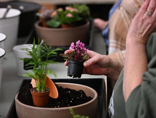 Resurrection garden planters workshop