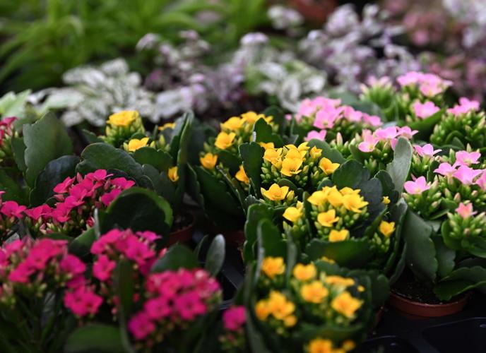 Resurrection garden planters workshop