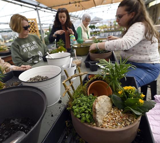 Resurrection garden planters workshop