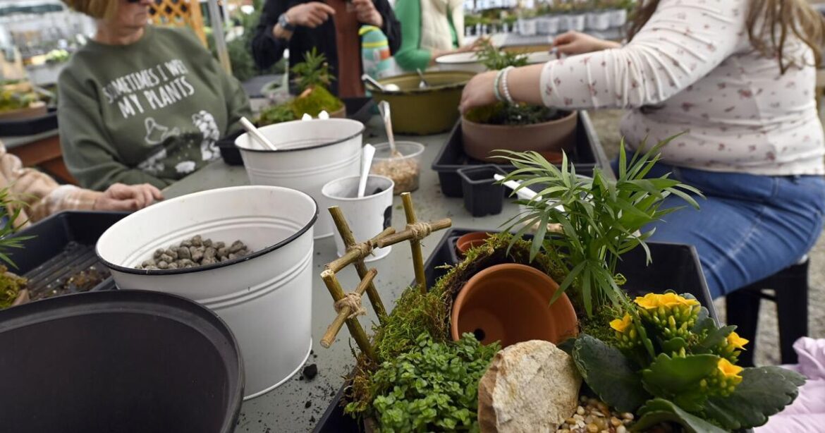 Ken's Gardens hosts resurrection garden planter workshop; more Easter events planned [photos] | Home & Garden