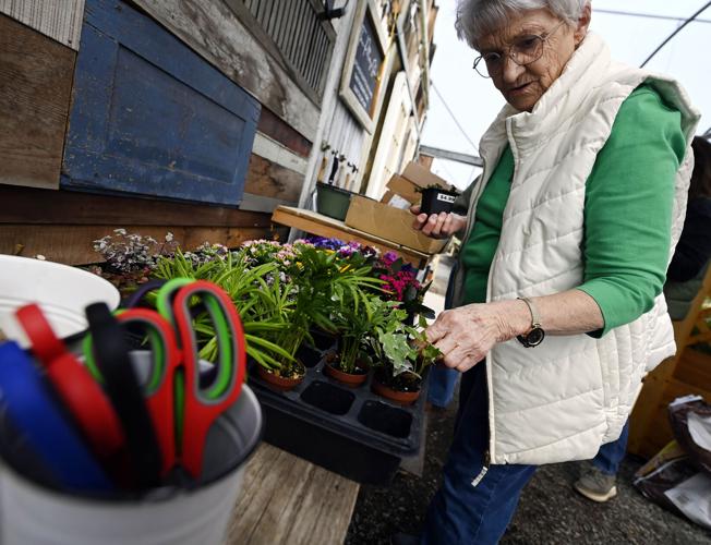 Resurrection garden planters workshop