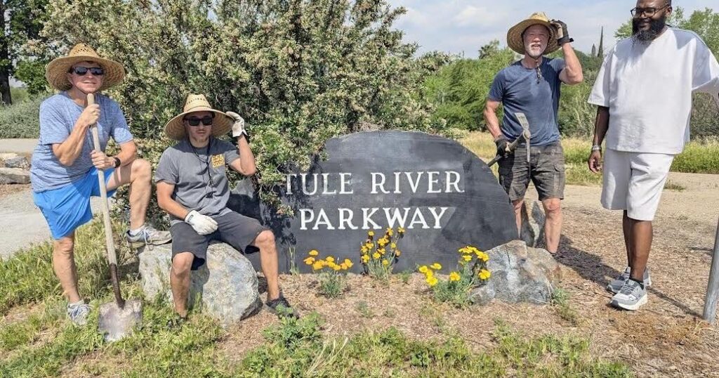 54 Native Plants added to parkway gardens | Photos 54 Native Plants added to parkway gardens | Photos