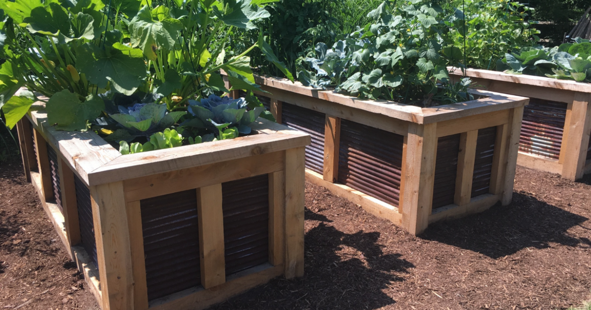 The benefits of raising your garden to new heights this spring season | Your Home The benefits of raising your garden to new heights this spring season | Your Home