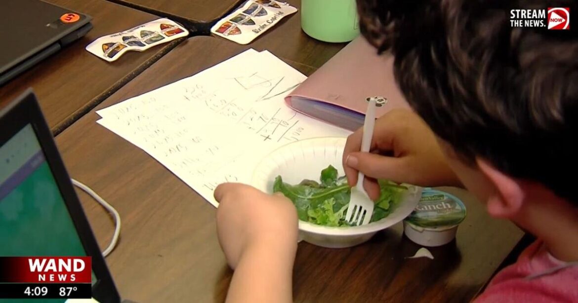 Cerro Gordo grade schoolers learn about hydroponic gardening | STEM Minute Cerro Gordo grade schoolers learn about hydroponic gardening | STEM Minute