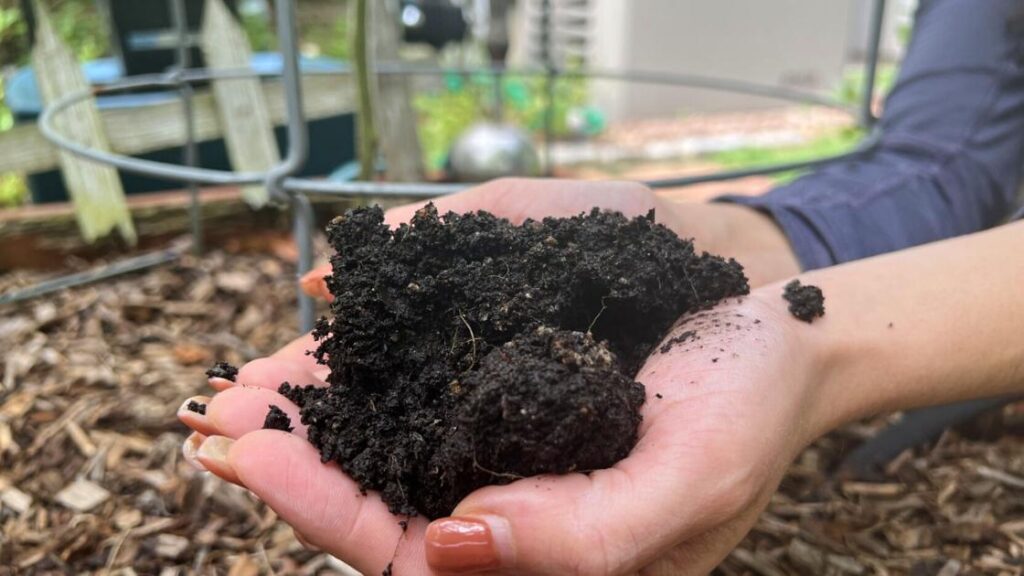 How to keep garden soil healthy this spring How to keep garden soil healthy this spring