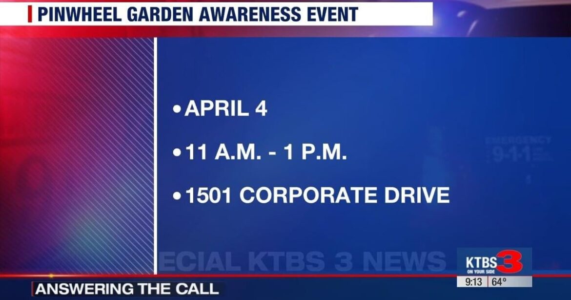 Answering the Call: Pinwheel garden awareness event | Community Answering the Call: Pinwheel garden awareness event | Community