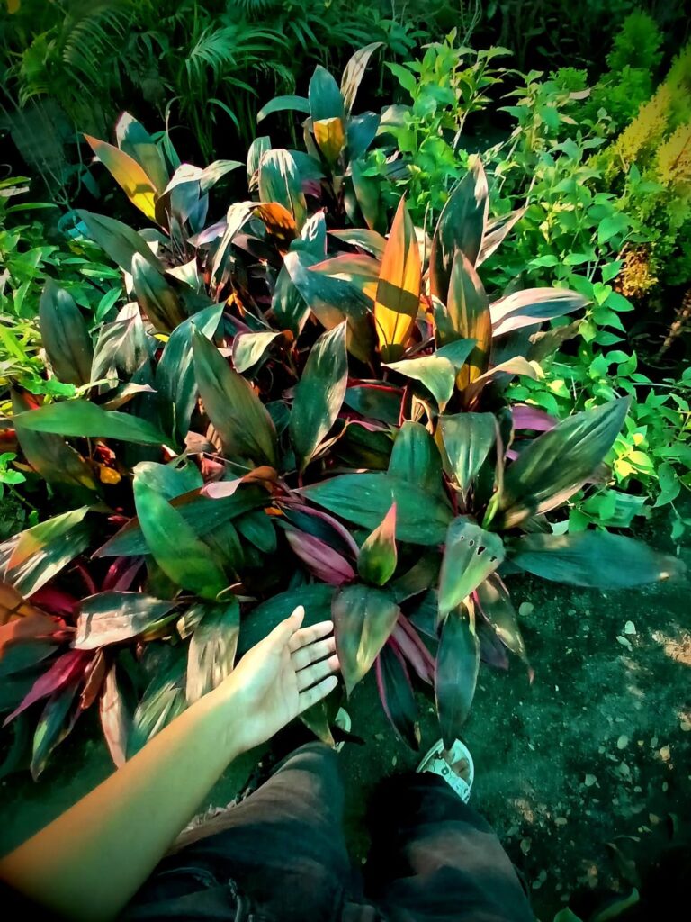Nature never goes out of style