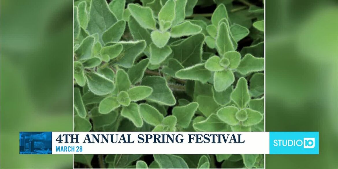 2026 Spring Festival Plant Sale 2026 Spring Festival Plant Sale