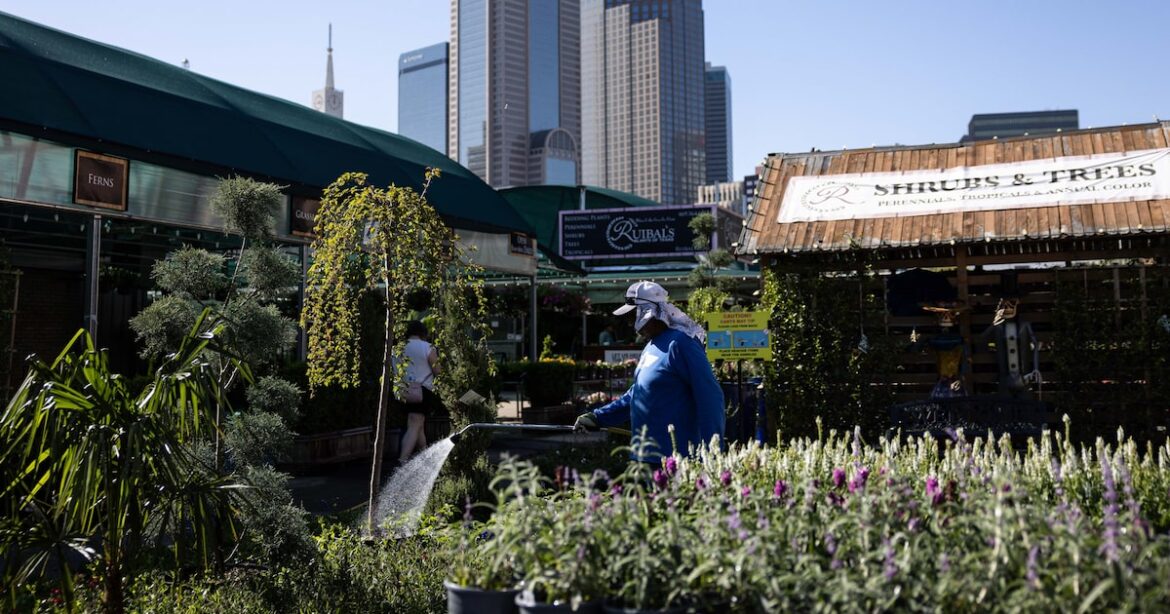 Early summer heat has pushed up the timeline for spring gardening in North Texas