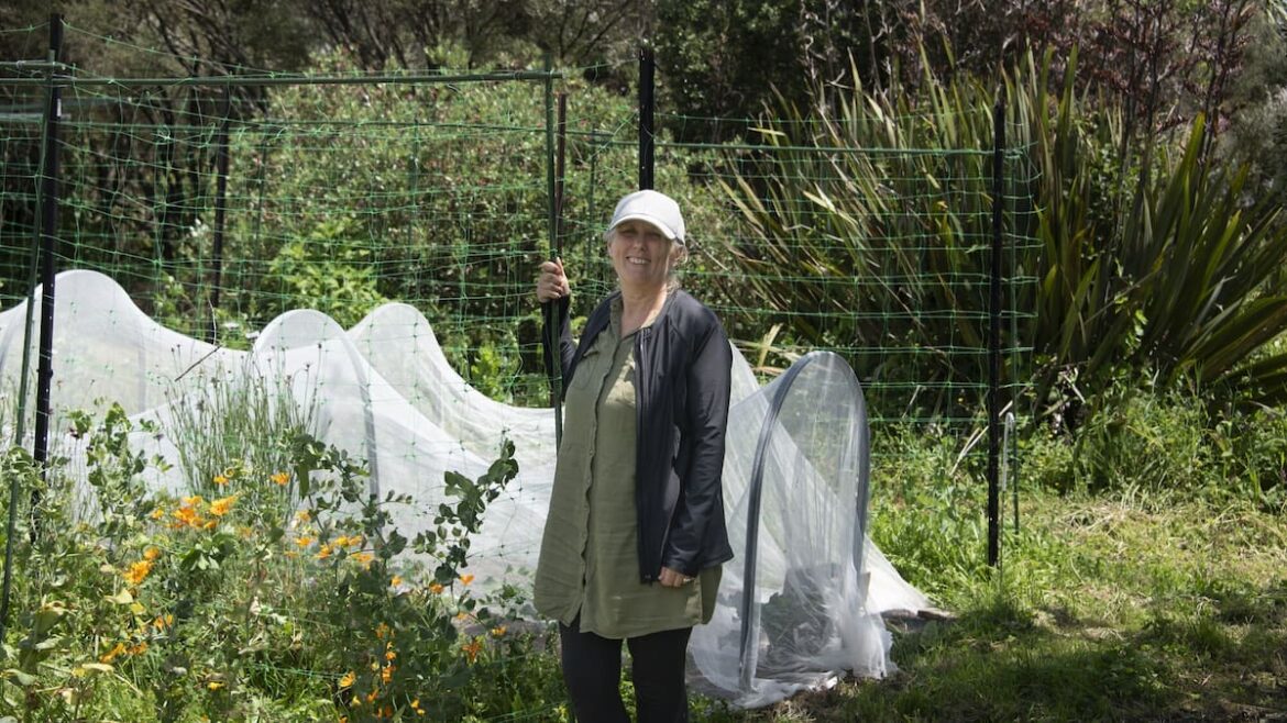 Waikato veganic market gardener Sarah Oliver shows how to grow food without animals Waikato veganic market gardener Sarah Oliver shows how to grow food without animals