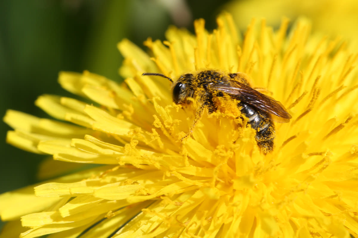 Photo by NurPhoto on Getty Images