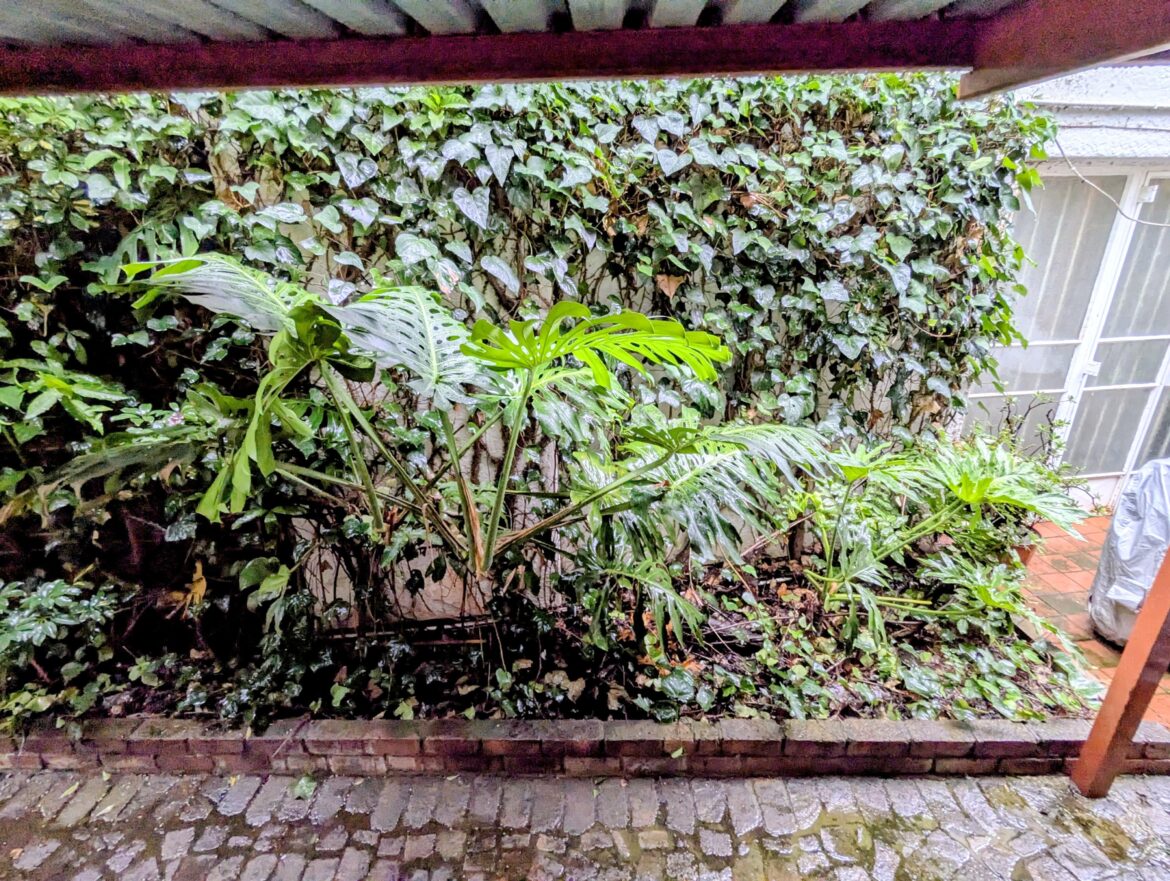 Surprisingly thriving