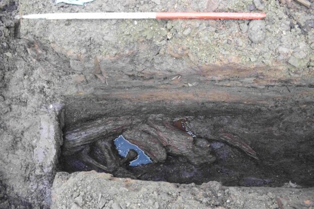 In situ wood found within Roman Fortlet Ditch at Bearsden.