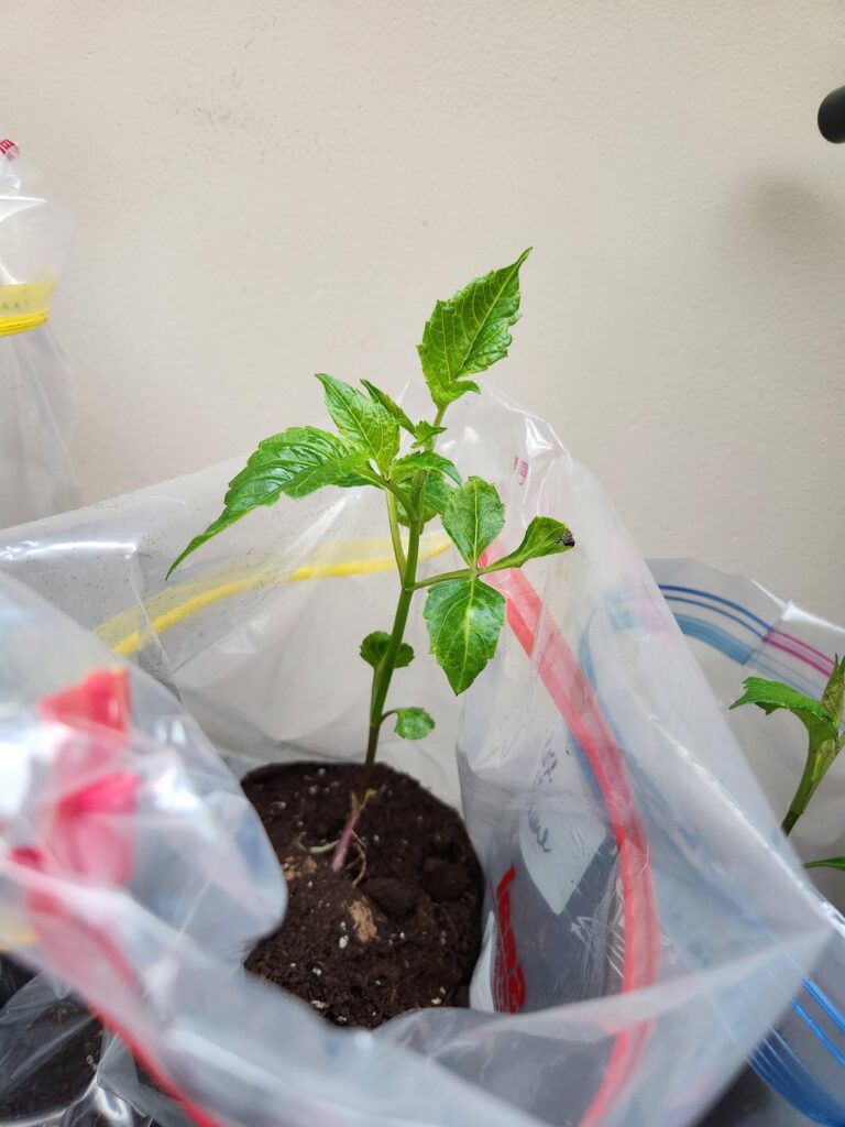Help a newbie!