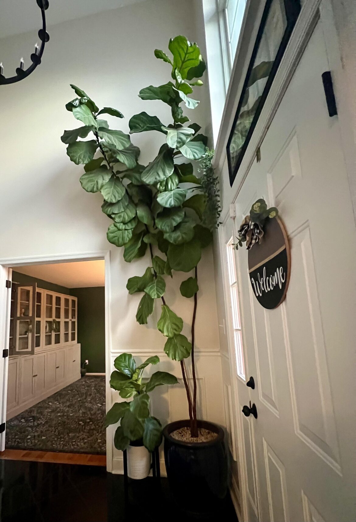 Anything I can do?
