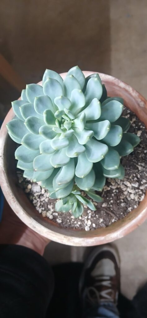 A few of my favorites