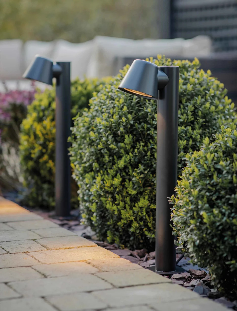 Is your hedge too tall? It could cost you £1,000