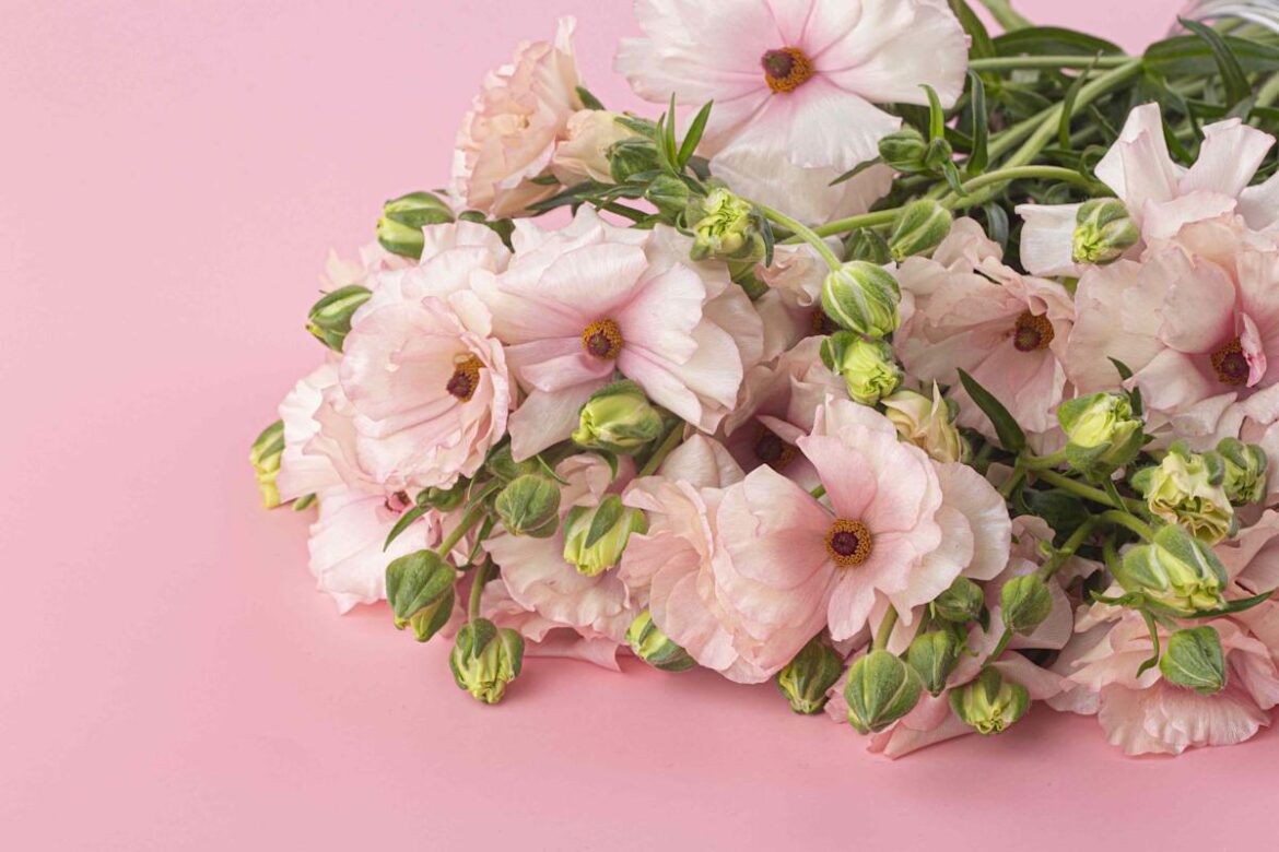 Brighten Your Home for Spring with Trader Joe’s Under-$10 Ranunculus Bunches Brighten Your Home for Spring with Trader Joe’s Under-$10 Ranunculus Bunches