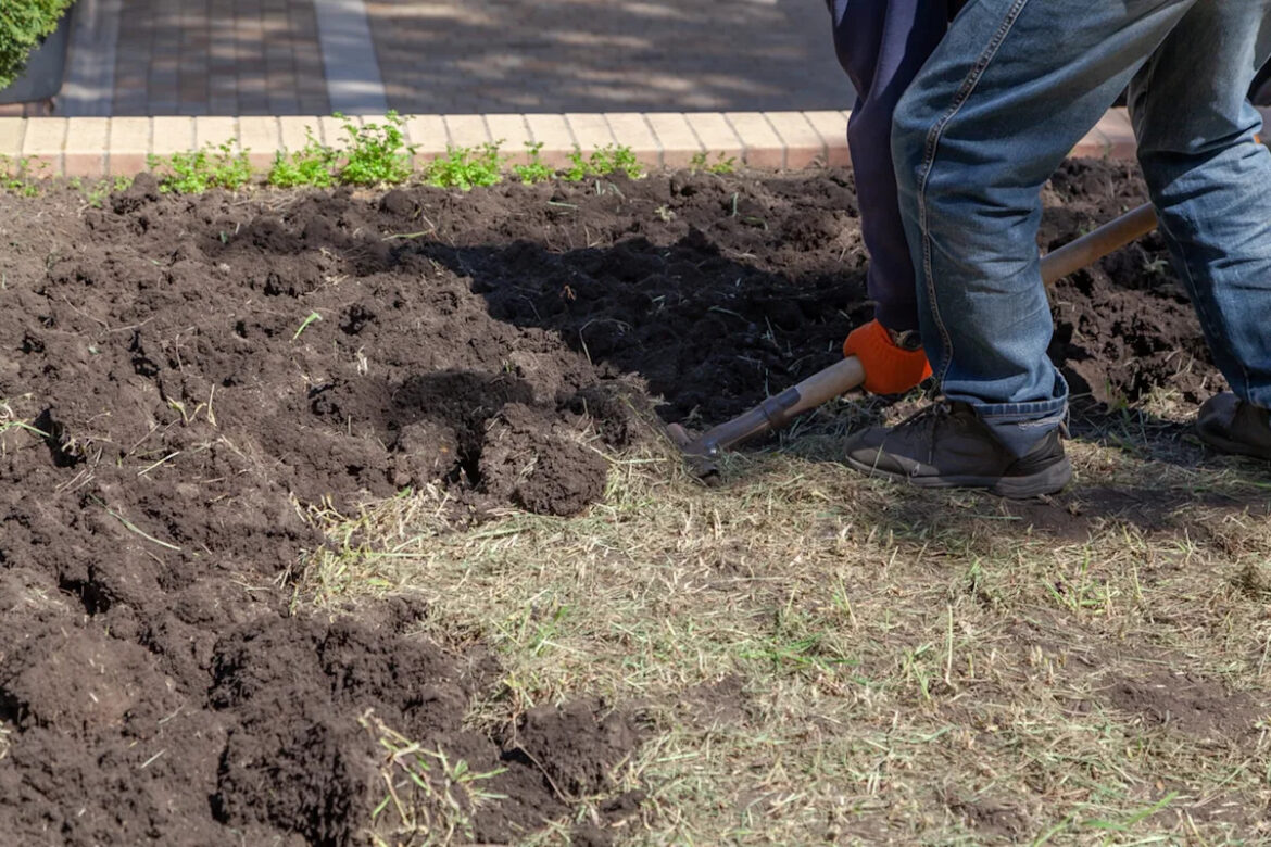 Gardener faces tough soil prepping decision without sacrificing plants Yahoo lifestyle home