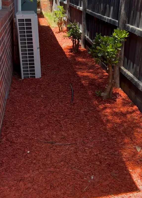 "My instinct tells me that this is too much."