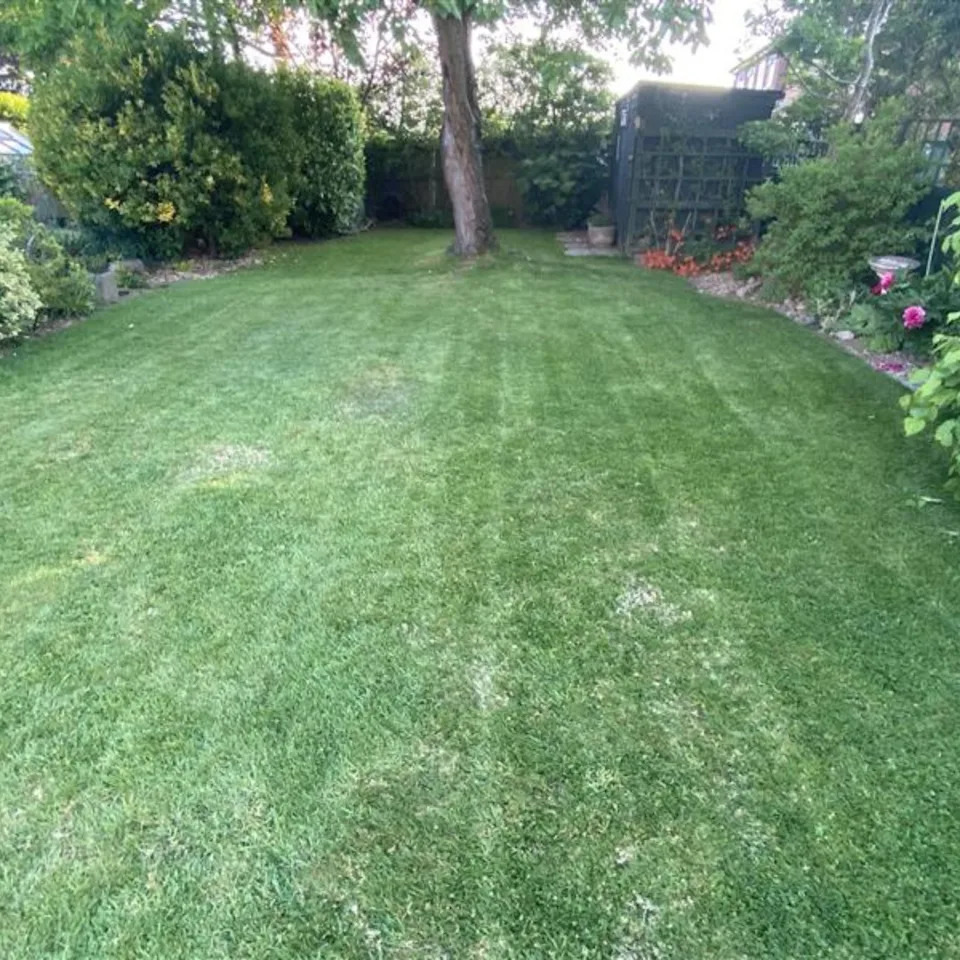 how we test electric lawnmowers