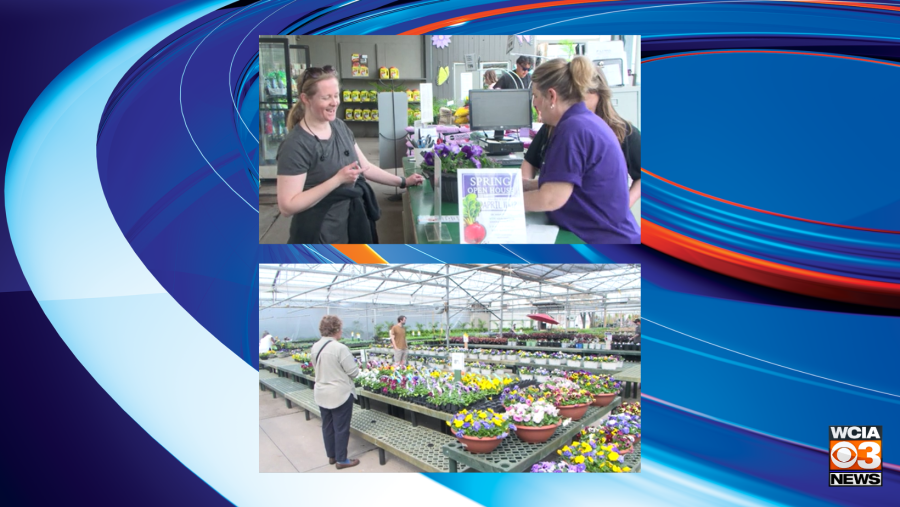 Prairie Gardens hosts an event giving the opportunity to cash in on plants Yahoo lifestyle home