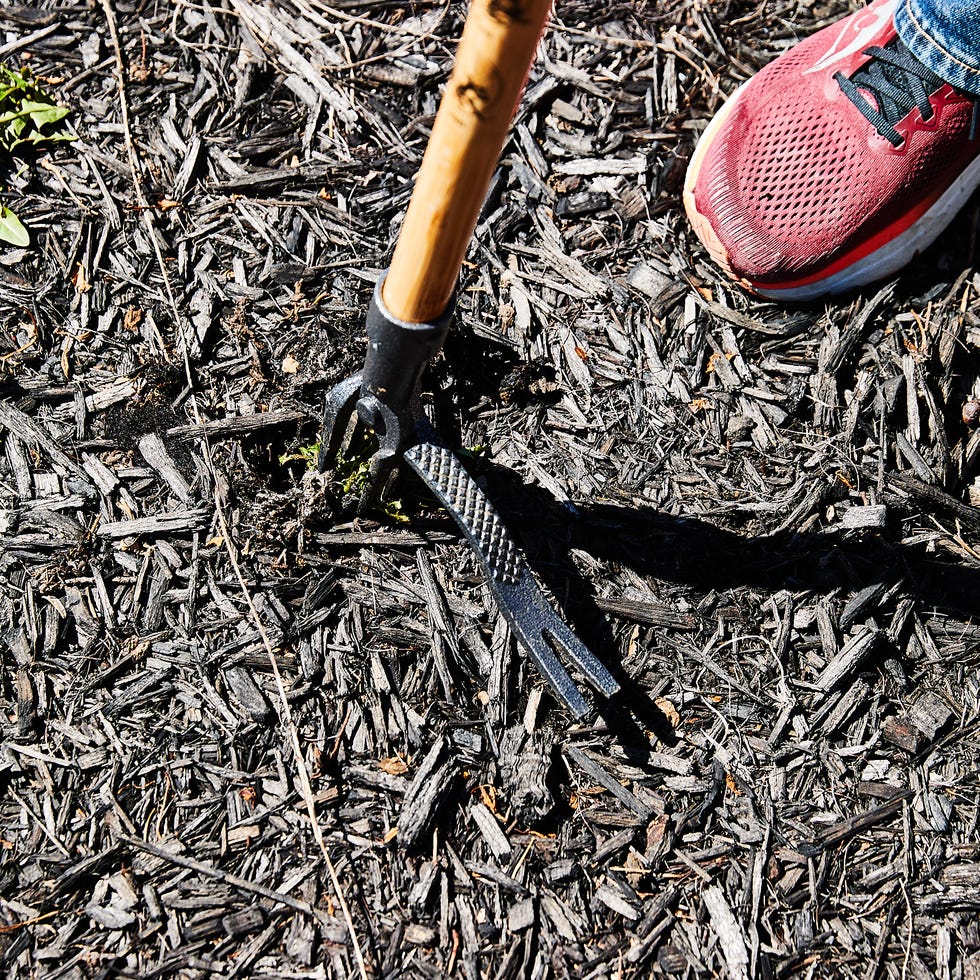 Gardening activity with a tool and shoe visible on mulch ground.