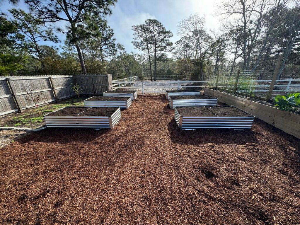 Planting Day! 🌱 Time to get busy