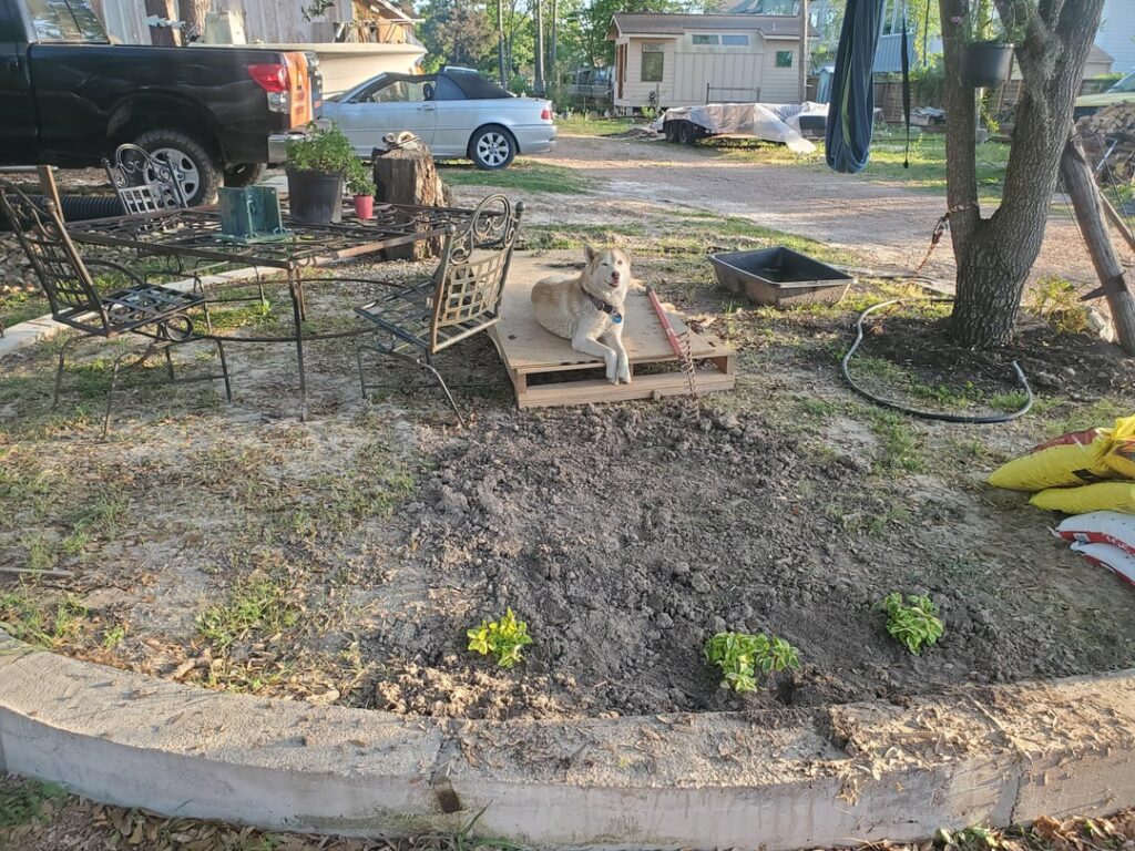 What would yall do with this circle area? (Zone 9b, se texas) What would yall do with this circle area? (Zone 9b, se texas)